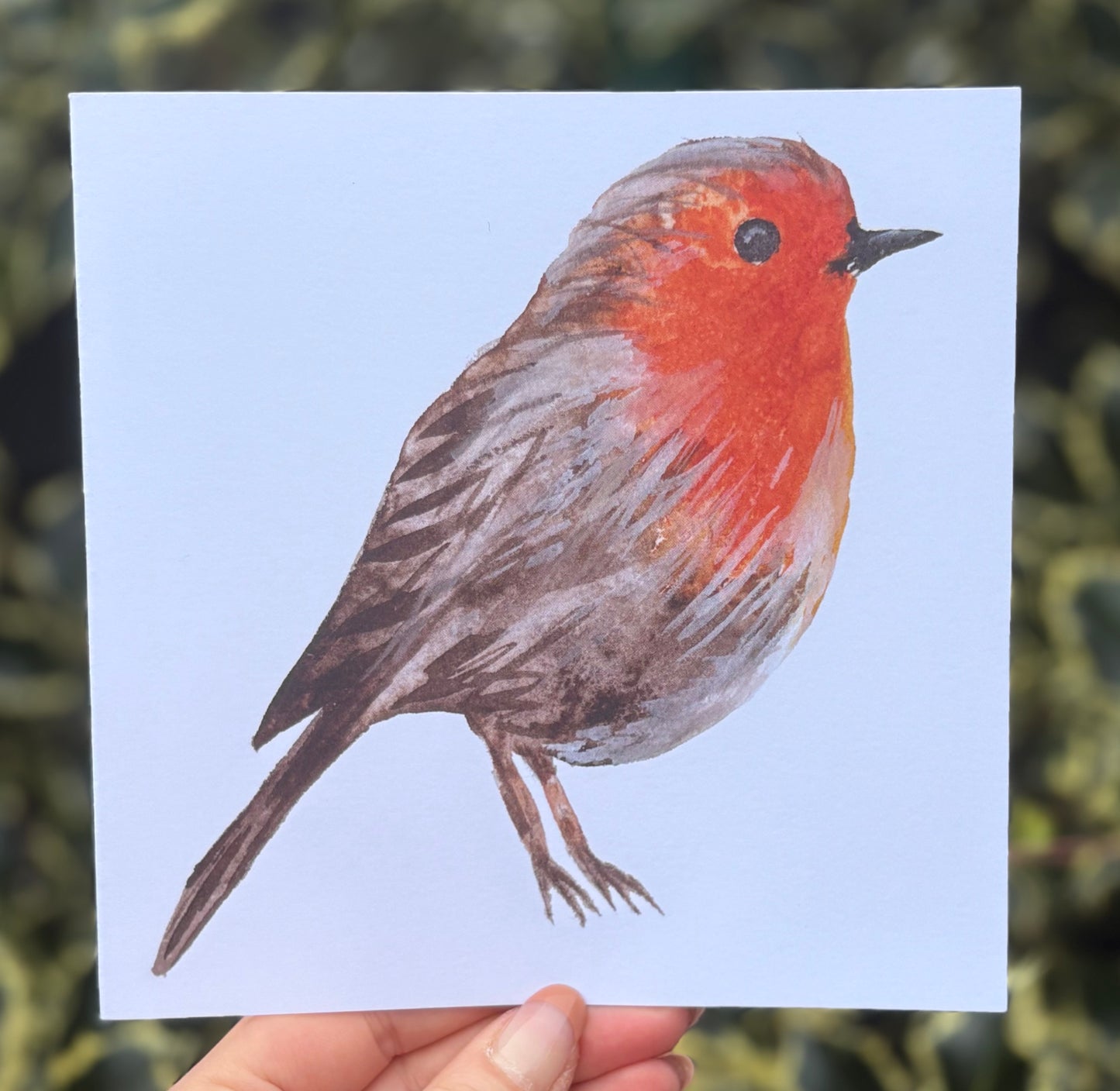 Robin Greetings Card