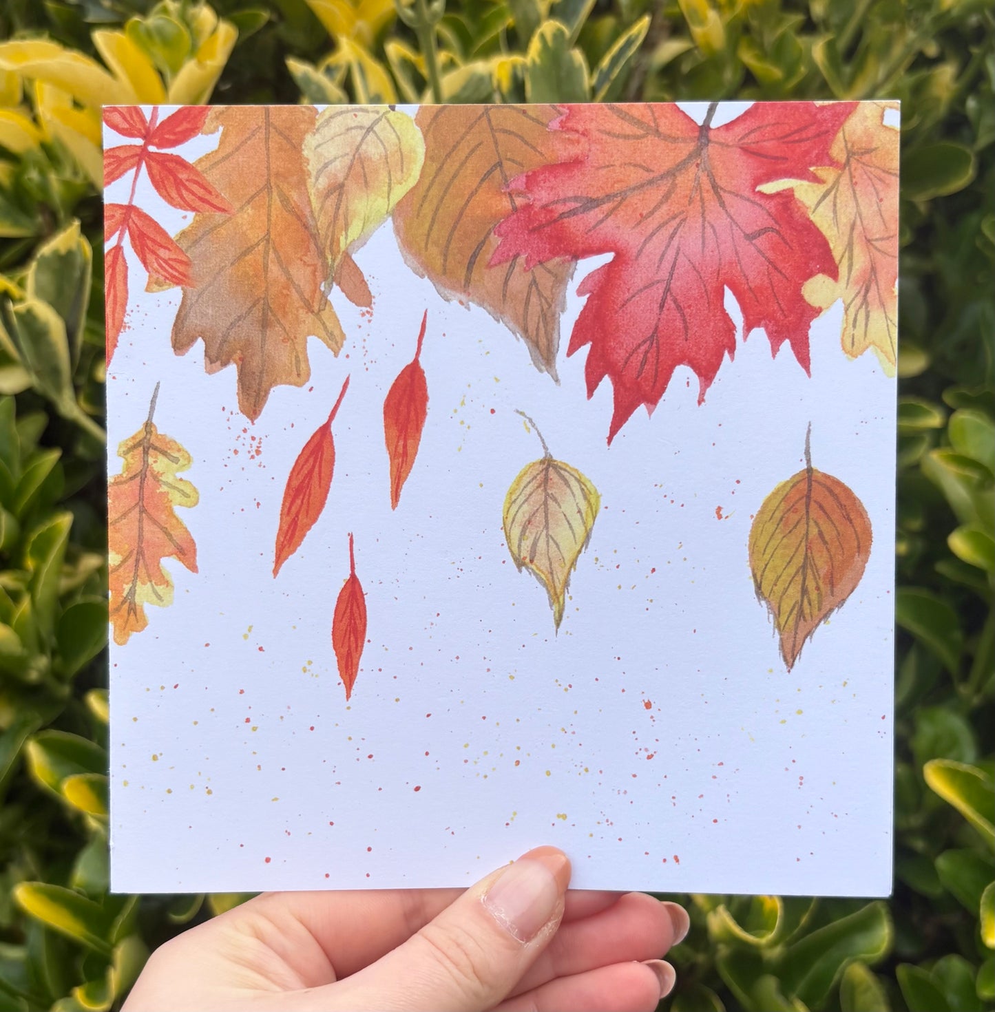 Autumn Leaves Greetings Card