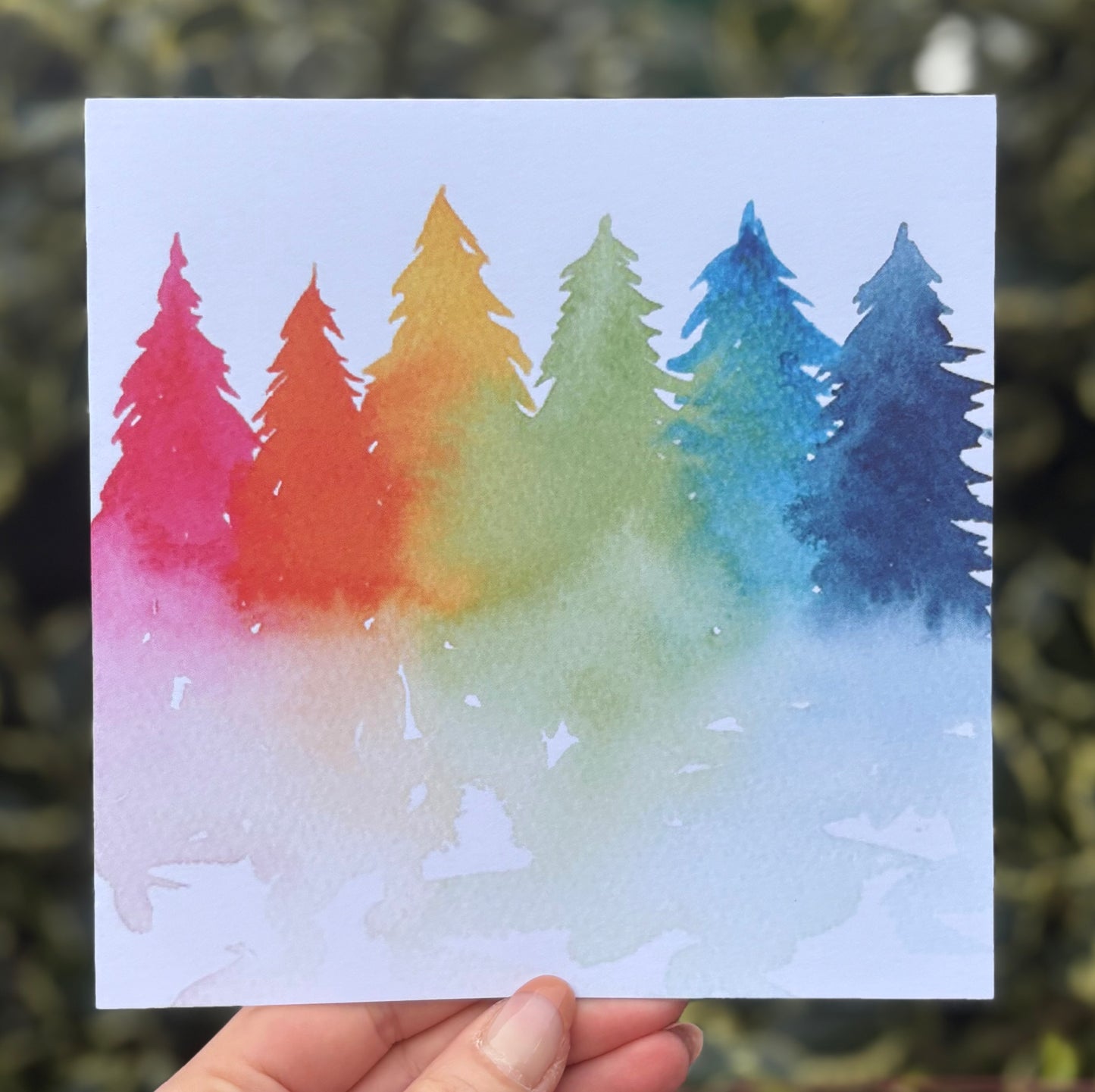 Rainbow Evergreens Greetings Card