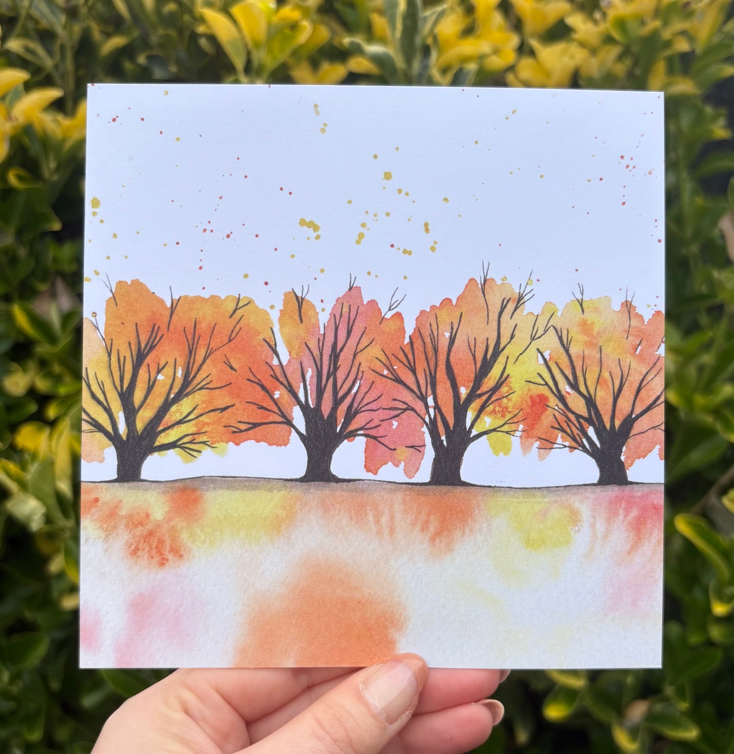 Autumn Trees Greetings Card
